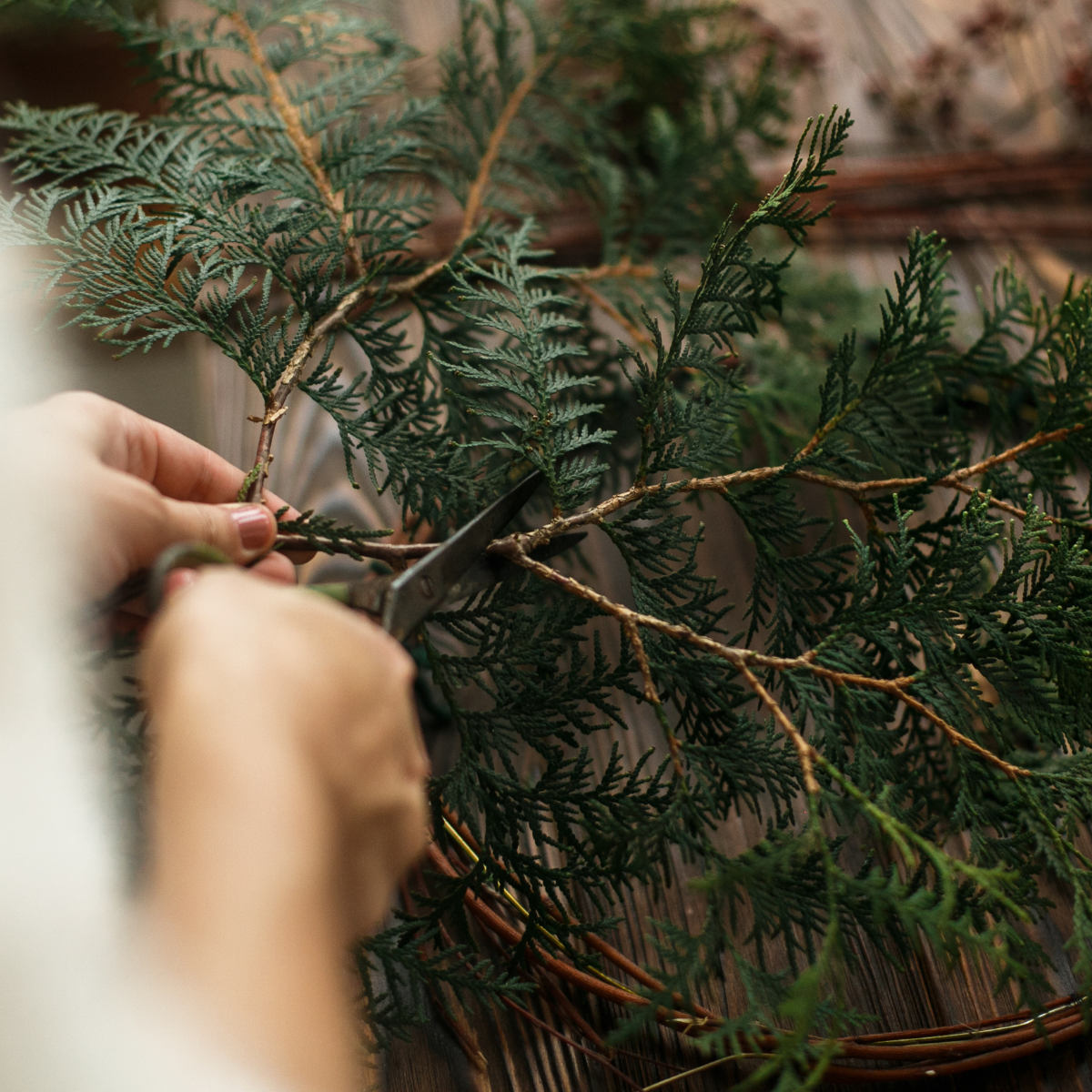 Detailaufnahme eines selbstgemachten Adventskranzes mit Eukalyptus und Tannengrün